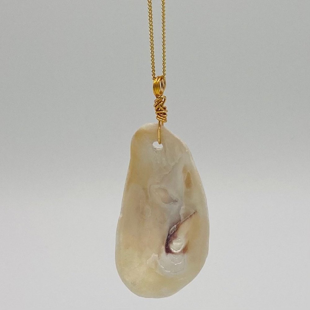Shell Pendant on 24" Gold Chain Necklace; G24-16